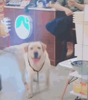 clip_image015.gif