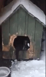clip_image051.gif